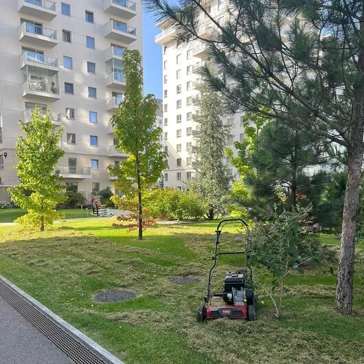 El Jardin de Daniel Servicii complete de amenajare peisagistica
