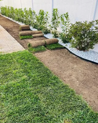 El Jardin de Daniel Servicii complete de amenajare peisagistica