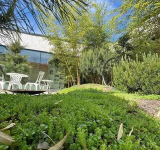 El Jardin de Daniel Servicii complete de amenajare peisagistica