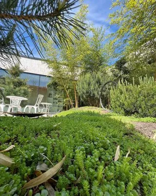 El Jardin de Daniel Servicii complete de amenajare peisagistica