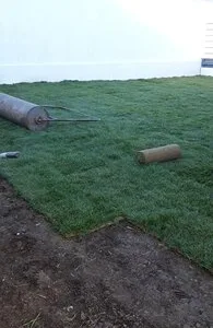 Amenajari spatii verzi