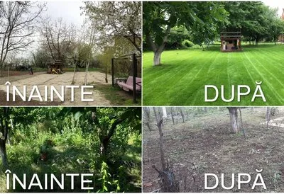 Amenajari spatii verzi