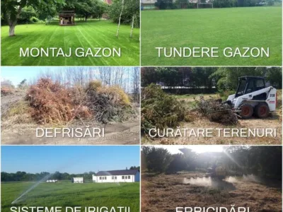 Amenajari spatii verzi