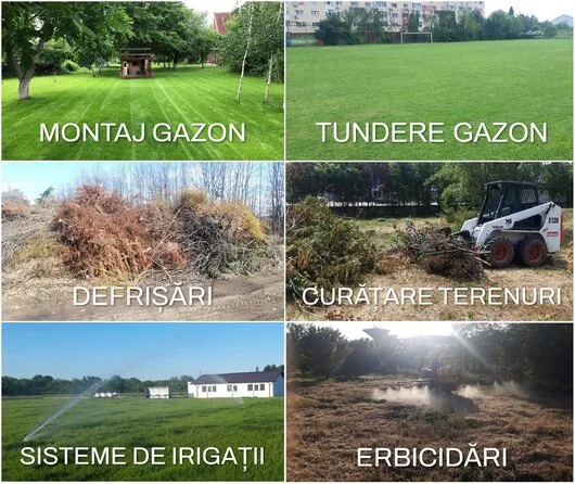 Amenajari spatii verzi