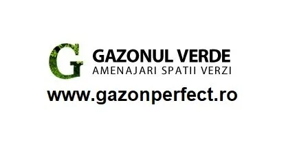 Amenajari spatii verzi