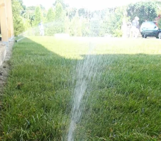 Amenajari spatii verzi