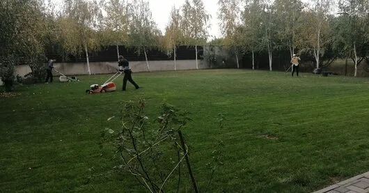 Bucuresti - IntretinereGradini.ro