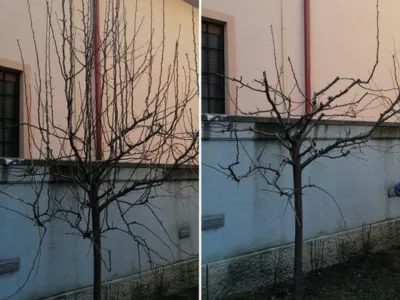 Bucuresti - IntretinereGradini.ro
