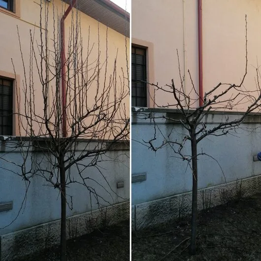 Bucuresti - IntretinereGradini.ro