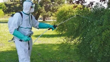 Bucuresti - gardening si horticultura
