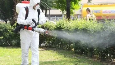 Bucuresti - gardening si horticultura