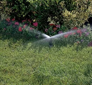 Bucuresti - gardening si horticultura