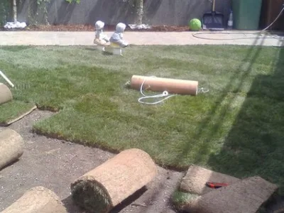 Bucuresti - gardening si horticultura