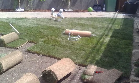 Bucuresti - gardening si horticultura