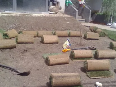 Bucuresti - gardening si horticultura