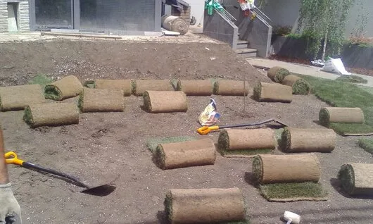 Bucuresti - gardening si horticultura