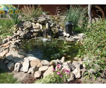 Servicii curatenie Bucuresti