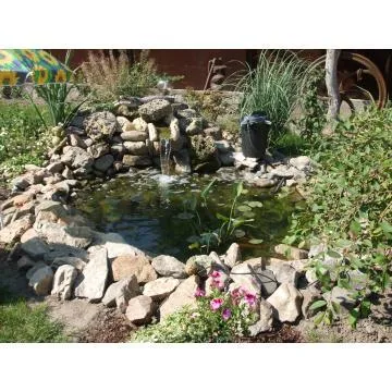 Servicii curatenie Bucuresti