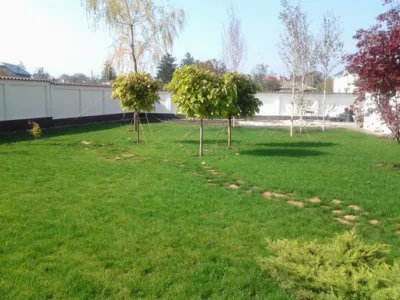Bucuresti - Amenajari spatii verzi