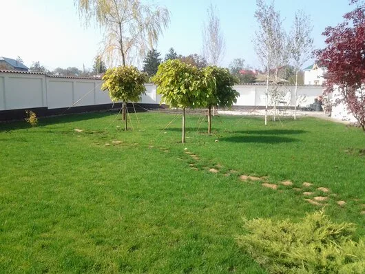 Bucuresti - Amenajari spatii verzi