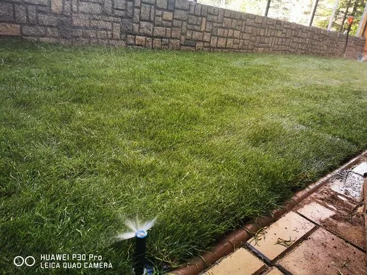Rogarden servicii gradinarit Bucuresti