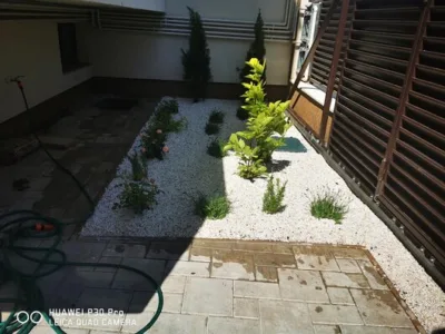 Rogarden servicii gradinarit Bucuresti