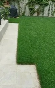 Rogarden servicii gradinarit Bucuresti