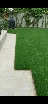Rogarden servicii gradinarit Bucuresti