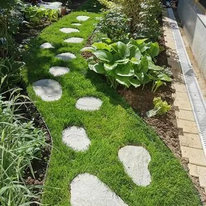 Rogarden servicii gradinarit Bucuresti
