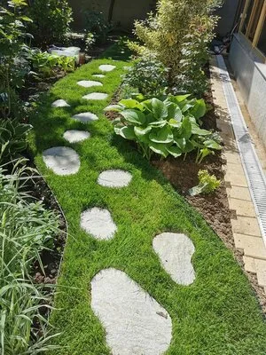 Rogarden servicii gradinarit Bucuresti