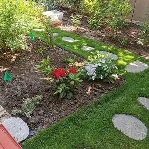 Rogarden servicii gradinarit Bucuresti