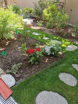 Rogarden servicii gradinarit Bucuresti