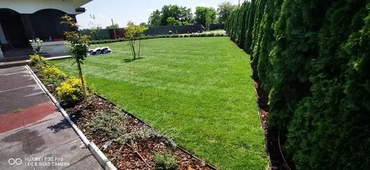 Rogarden servicii gradinarit Bucuresti