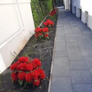 Rogarden servicii gradinarit Bucuresti