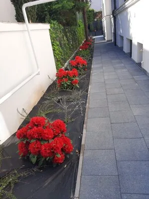 Rogarden servicii gradinarit Bucuresti
