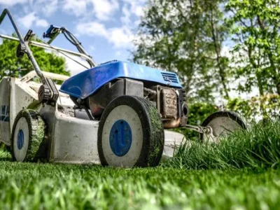 Rogarden servicii gradinarit Bucuresti
