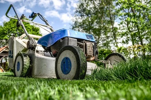 Rogarden servicii gradinarit Bucuresti