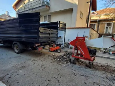 Defrisari - tocare arbori