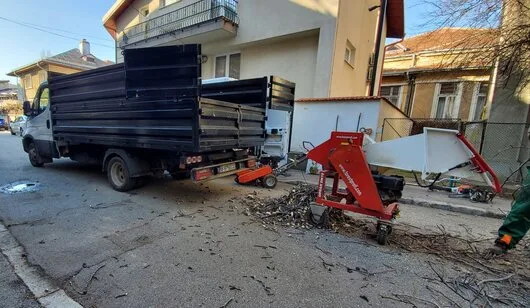 Defrisari - tocare arbori