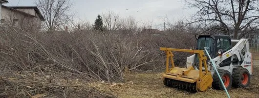 Defrisari - tocare arbori