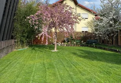 TRIF GARDEN amenajari exterioare Ilfov