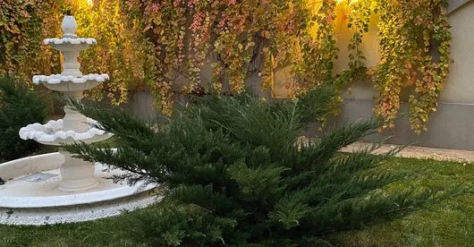 TRIF GARDEN amenajari exterioare Ilfov