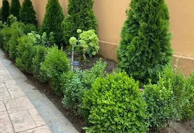 TRIF GARDEN amenajari exterioare Ilfov