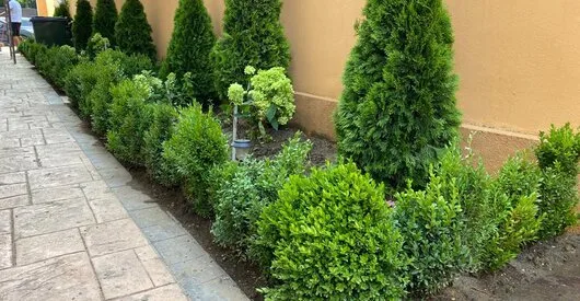 TRIF GARDEN amenajari exterioare Ilfov