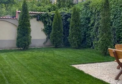TRIF GARDEN amenajari exterioare Ilfov