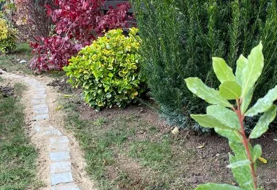 TRIF GARDEN amenajari exterioare Ilfov