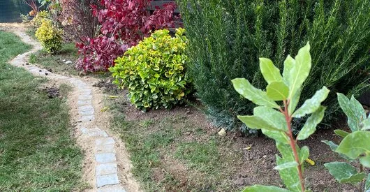TRIF GARDEN amenajari exterioare Ilfov