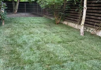 TRIF GARDEN amenajari exterioare Ilfov