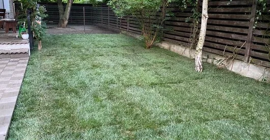 TRIF GARDEN amenajari exterioare Ilfov