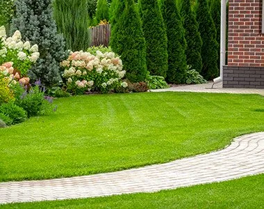 TRIF GARDEN amenajari exterioare Ilfov